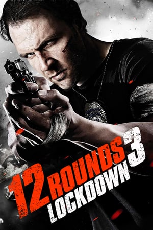 12 Rounds 3 Lockdown 2015 Hindi Dual Audio [780MB] - Movierulz