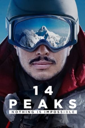 14 Peaks: Nothing Is Impossible (2021) Hindi Dual Audio 350MB - Movierulz