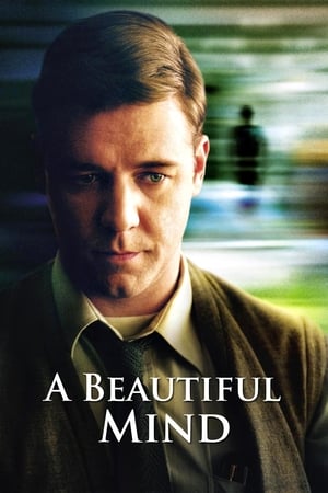 A Beautiful Mind 2001 Hindi Dual Audio 450MB - Movierulz