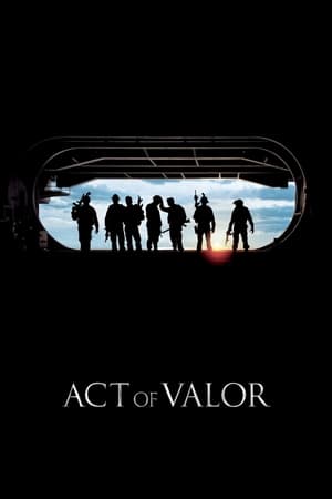 Act of Valor (2012) Hindi Dual Audio [1.1GB] - Movierulz