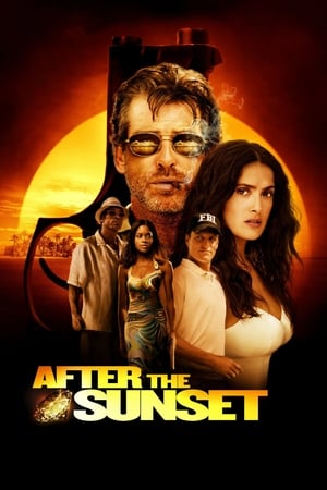 After The Sunset (2004) Hindi Dual Audio [780MB] - Movierulz