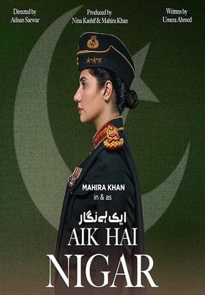 Aik Hai Nigar (2021) Urdu Movie [800MB] - Movierulz