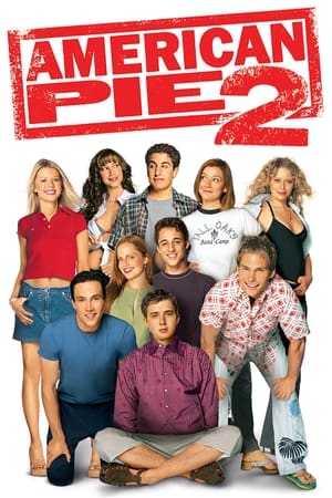 American Pie 2 (2001) Hindi Dual Audio [990MB] - Movierulz