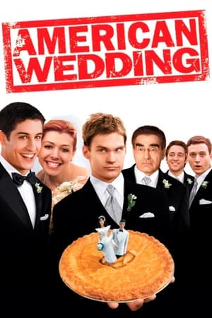 American Wedding (2003) Hindi Dual Audio [850MB] - Movierulz