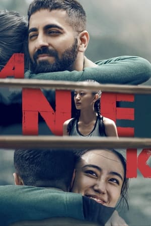 Anek 2022 Hindi Movie – - Movierulz