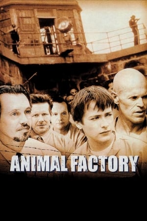 Animal Factory (2000) Hindi Dual Audio 300MB - Movierulz