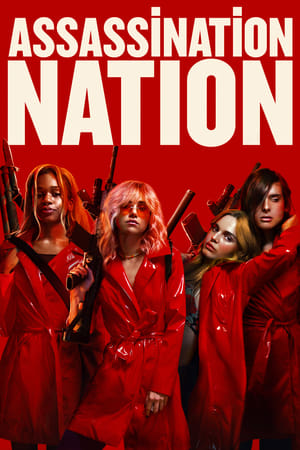 Assassination Nation (2018) Hindi Dual Audio 400MB - Movierulz