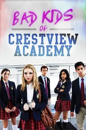 Bad Kids of Crestview Academy (2017) Hindi Dual Audio [900MB] - Movierulz