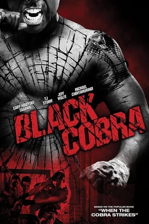 Black Cobra (2012) Hindi Dual Audio 300MB - Movierulz