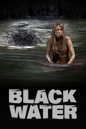 Black Water (2007) Hindi Dual Audio 300MB - Movierulz