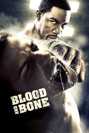 Blood and Bone (2009) Hindi Dual Audio [950MB] - Movierulz