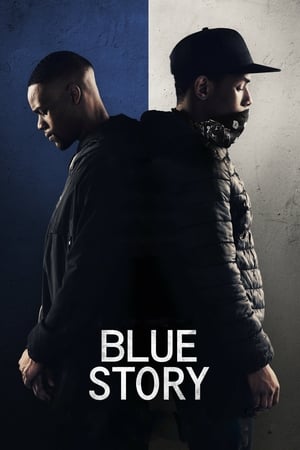 Blue Story (2019) Hindi Dual Audio – - Movierulz
