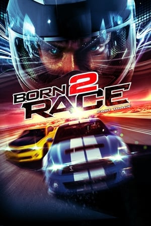 Born to Race Fast Track 2014 Hindi Dual Audio 320MB - Movierulz