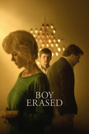 Boy Erased (2018) Hindi Dual Audio 380MB - Movierulz