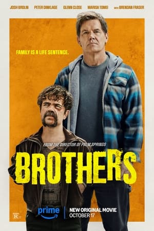 Brothers 2024 Hindi Dual Audio – 720p – - Movierulz
