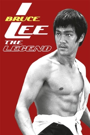 Bruce Lee the Legend 1984 Hindi Dual Audio HDTVRip [1GB] - Movierulz
