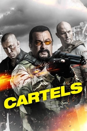 Cartels 2017 Hindi Dual Audio 300MB - Movierulz