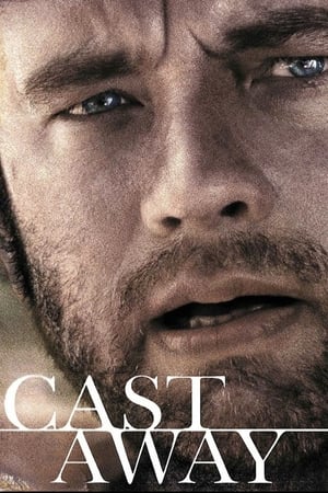 Cast Away 2000 Hindi Dual Audio 450MB - Movierulz