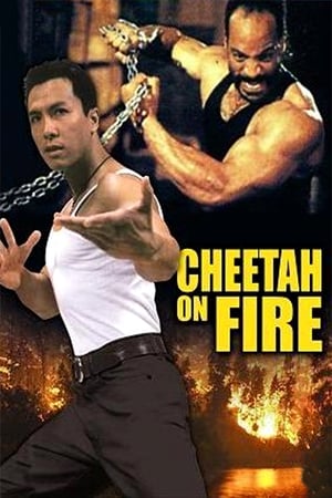 Cheetah on Fire 1992 Hindi Dual Audio [900MB] - Movierulz