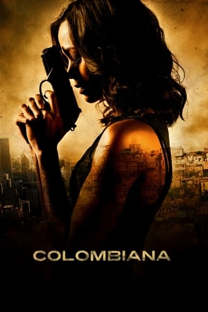 Colombiana (2011) Hindi Dual Audio 350MB - Movierulz