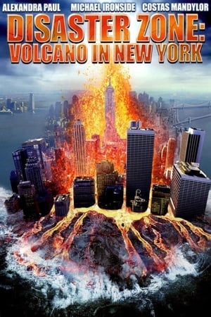 Disaster Zone Volcano in New York 2006 Hindi Dual Audio 300MB - Movierulz
