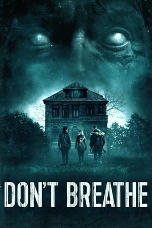 Don't Breathe (2016) Hindi Dual Audio 300MB - Movierulz