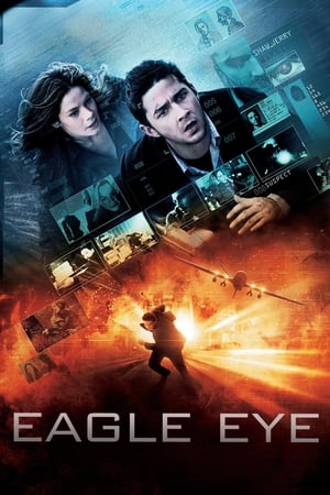 Eagle Eye (2008) Hindi Dual Audio 330MB ESubs - Movierulz
