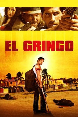 El Gringo (2012) Hindi Dual Audio [900MB] - Movierulz