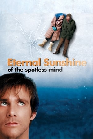 Eternal Sunshine Of The Spotless Mind 2004 Hindi Dual Audio [780MB] - Movierulz
