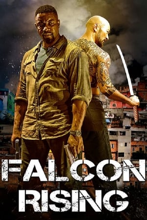 Falcon Rising (2014) Hindi Dual Audio [980MB] - Movierulz