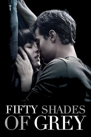 Fifty Shades of Grey 2015 Hindi Dual Audio [1.1GB] - Movierulz