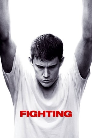 Fighting (2009) Hindi Dual Audio 450MB - Movierulz
