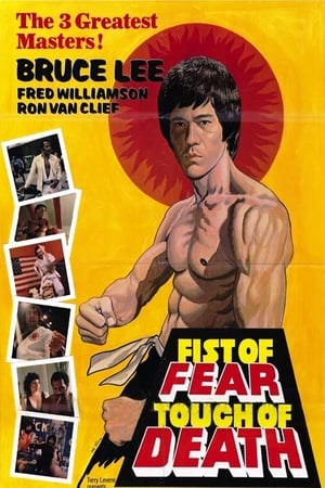 Fist of Fear Touch of Death 1980 Hindi Dual Audio [1GB] - Movierulz