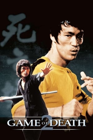 Game of Death II (1981) Dual Audio Hindi Movie - 1.1GB - Movierulz