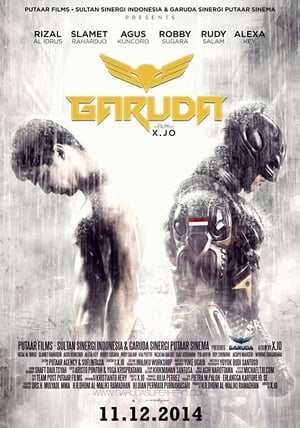 Garuda Superhero (2015) Hindi Dubbed [750MB] - Movierulz
