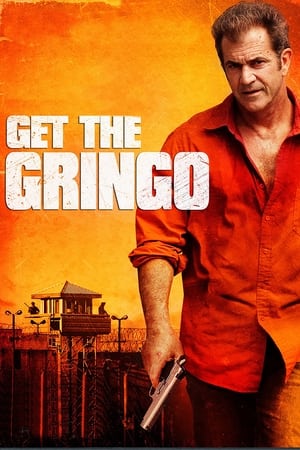 Get the Gringo (2012) Hindi Dual Audio [850MB] - Movierulz