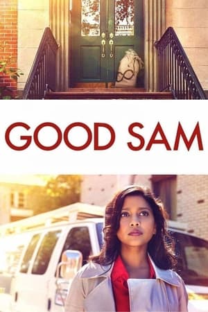 Good Sam 2019 Hindi Dual Audio [820MB] - Movierulz
