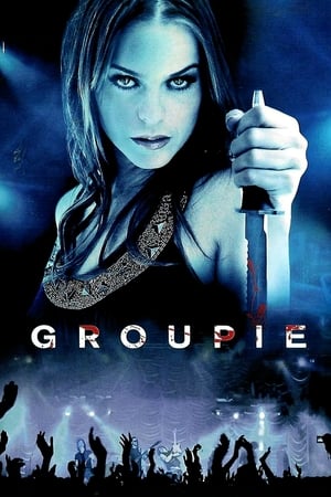 Groupie (2010) Hindi Dual Audio 300MB - Movierulz