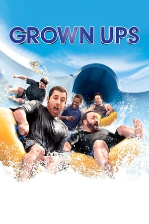 Grown Ups (2010) Hindi Dual Audio [800MB] - Movierulz