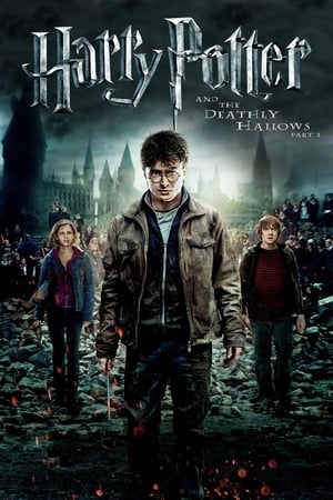 Harry Potter and the Deathly Hallows 2011 – Part 2 Hindi Dubbed [1.0GB] Download - Movierulz