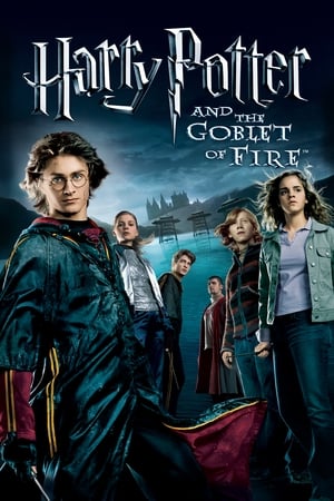 Harry Potter and the Goblet of Fire 2005 Hindi Dual Audio - Movierulz