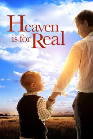Heaven Is for Real (2014) Hindi Dual Audio [850MB] ESubs - Movierulz