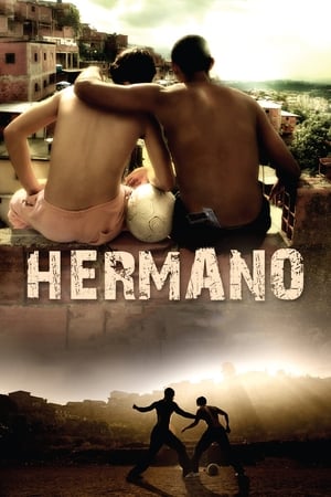Hermano 2010 Hindi Dual Audio [1.2GB] - Movierulz