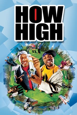 How High (2001) Hindi Dual Audio 300MB - Movierulz