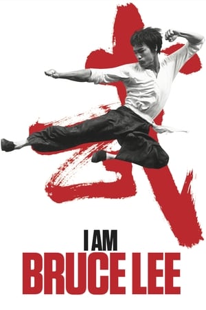I Am Bruce Lee 2012 Hindi Dual Audio [850MB] Download - Movierulz