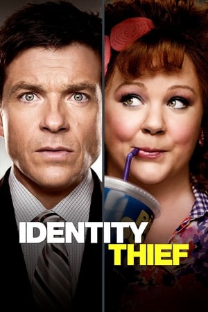 Identity Thief (2013) Hindi Dual Audio [1GB] - Movierulz