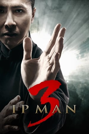 Ip Man 3 (2015) Hindi Dual Audio 400MB - Movierulz