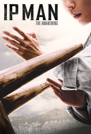 Ip Man: The Awakening (2022) Hindi Dual Audio – - Movierulz