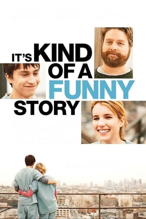 It's Kind of a Funny Story (2010) Hindi Dual Audio [950MB] ESubs - Movierulz