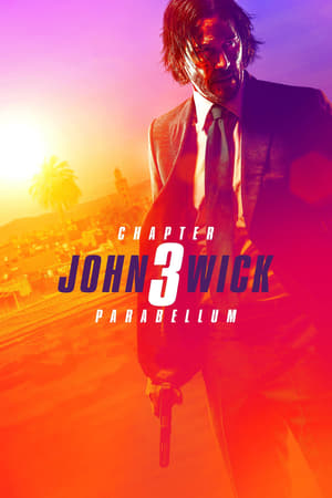 John Wick: Chapter 3 – Parabellum (2019) (English) [] [480p]